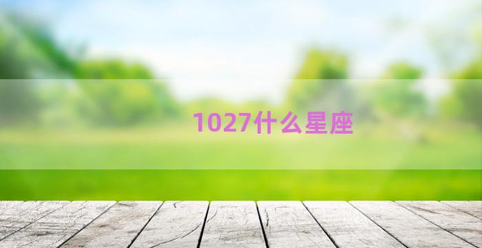 1027什么星座