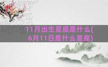 11月出生星座是什么(6月11日是什么星座)