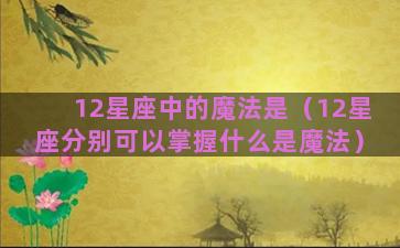 12星座中的魔法是（12星座分别可以掌握什么是魔法）