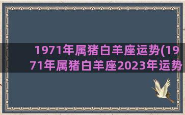 1971年属猪白羊座运势(1971年属猪白羊座2023年运势)