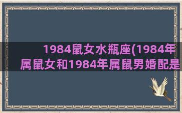 1984鼠女水瓶座(1984年属鼠女和1984年属鼠男婚配是不是最好)