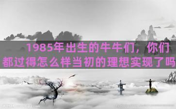 1985年出生的牛牛们，你们都过得怎么样当初的理想实现了吗