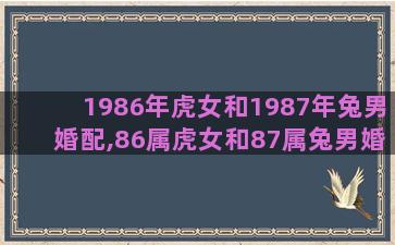 1986年虎女和1987年兔男婚配,86属虎女和87属兔男婚配么