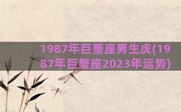 1987年巨蟹座男生虎(1987年巨蟹座2023年运势)