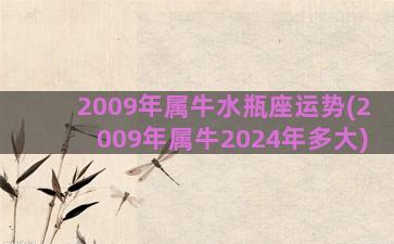 2009年属牛水瓶座运势(2009年属牛2024年多大)