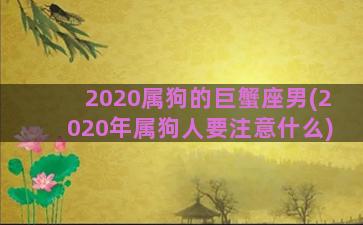 2020属狗的巨蟹座男(2020年属狗人要注意什么)