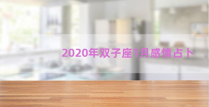 2020年双子座1月感情占卜