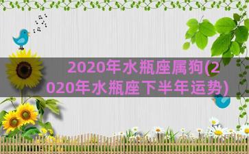 2020年水瓶座属狗(2020年水瓶座下半年运势)