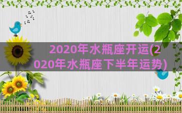 2020年水瓶座开运(2020年水瓶座下半年运势)