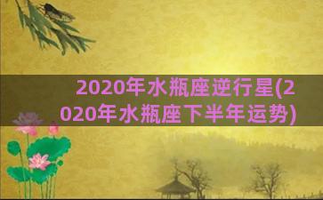 2020年水瓶座逆行星(2020年水瓶座下半年运势)