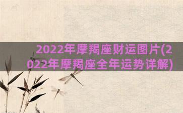 2022年摩羯座财运图片(2022年摩羯座全年运势详解)