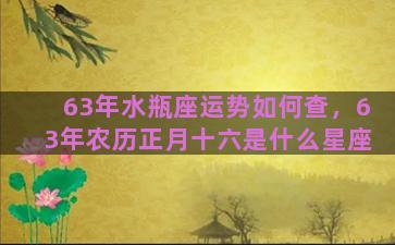 63年水瓶座运势如何查，63年农历正月十六是什么星座