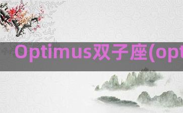 Optimus双子座(optimus双头炉)