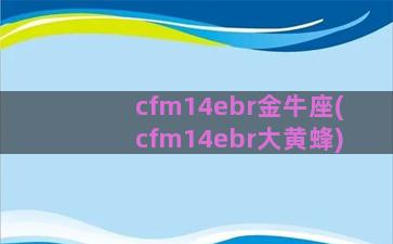 cfm14ebr金牛座(cfm14ebr大黄蜂)