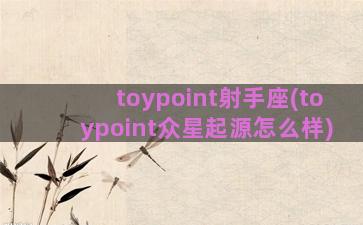 toypoint射手座(toypoint众星起源怎么样)