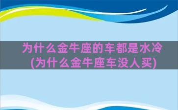 为什么金牛座的车都是水冷(为什么金牛座车没人买)