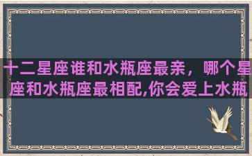 十二星座谁和水瓶座最亲，哪个星座和水瓶座最相配,你会爱上水瓶座吗？