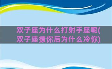 双子座为什么打射手座呢(双子座撩你后为什么冷你)