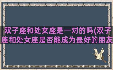 双子座和处女座是一对的吗(双子座和处女座是否能成为最好的朋友)