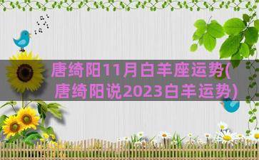 唐绮阳11月白羊座运势(唐绮阳说2023白羊运势)