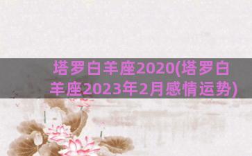 塔罗白羊座2020(塔罗白羊座2023年2月感情运势)