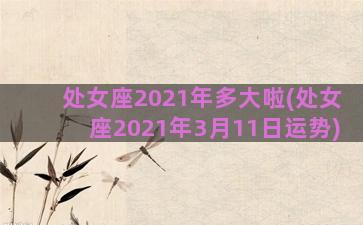 处女座2021年多大啦(处女座2021年3月11日运势)