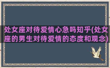 处女座对待爱情心急吗知乎(处女座的男生对待爱情的态度和观念)