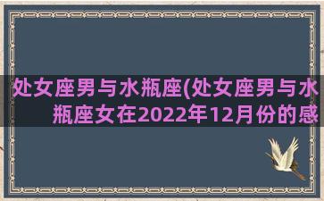 处女座男与水瓶座(处女座男与水瓶座女在2022年12月份的感情如何)