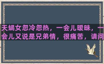 天蝎女忽冷忽热，一会儿暧昧，一会儿又说是兄弟情，很痛苦，请问我该放弃吗