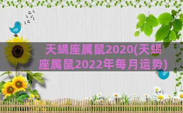 天蝎座属鼠2020(天蝎座属鼠2022年每月运势)