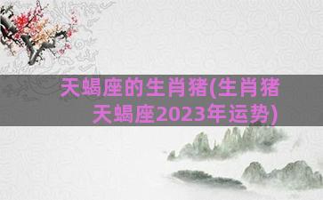 天蝎座的生肖猪(生肖猪天蝎座2023年运势)