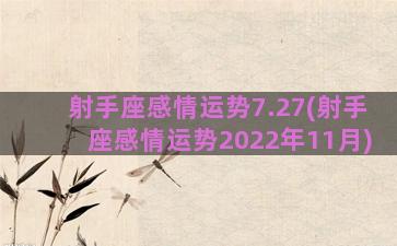 射手座感情运势7.27(射手座感情运势2022年11月)