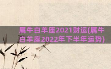 属牛白羊座2021财运(属牛白羊座2022年下半年运势)