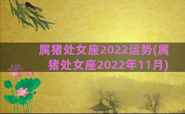 属猪处女座2022运势(属猪处女座2022年11月)