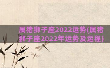 属猪狮子座2022运势(属猪狮子座2022年运势及运程)