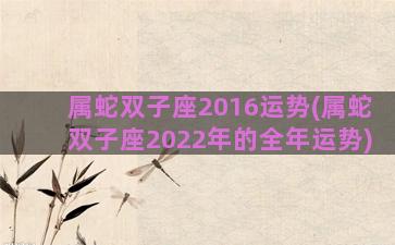 属蛇双子座2016运势(属蛇双子座2022年的全年运势)