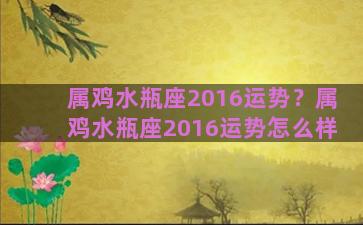 属鸡水瓶座2016运势？属鸡水瓶座2016运势怎么样