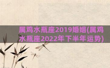 属鸡水瓶座2019婚姻(属鸡水瓶座2022年下半年运势)