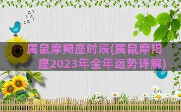 属鼠摩羯座时辰(属鼠摩羯座2023年全年运势详解)