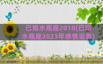 已婚水瓶座2018(已婚水瓶座2023年感情运势)