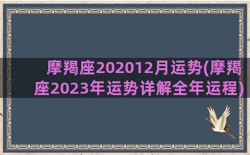 摩羯座202012月运势(摩羯座2023年运势详解全年运程)