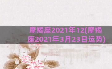 摩羯座2021年12(摩羯座2021年3月23日运势)