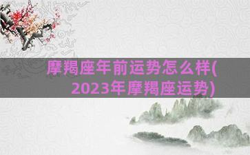 摩羯座年前运势怎么样(2023年摩羯座运势)