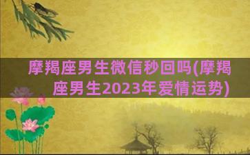 摩羯座男生微信秒回吗(摩羯座男生2023年爱情运势)