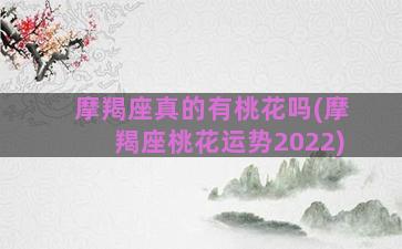 摩羯座真的有桃花吗(摩羯座桃花运势2022)