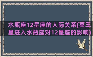 水瓶座12星座的人际关系(冥王星进入水瓶座对12星座的影响)