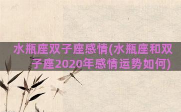 水瓶座双子座感情(水瓶座和双子座2020年感情运势如何)