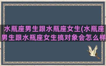 水瓶座男生跟水瓶座女生(水瓶座男生跟水瓶座女生搞对象会怎么样)