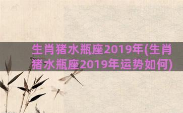 生肖猪水瓶座2019年(生肖猪水瓶座2019年运势如何)