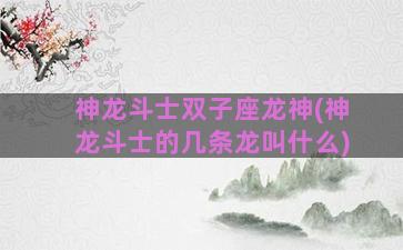 神龙斗士双子座龙神(神龙斗士的几条龙叫什么)